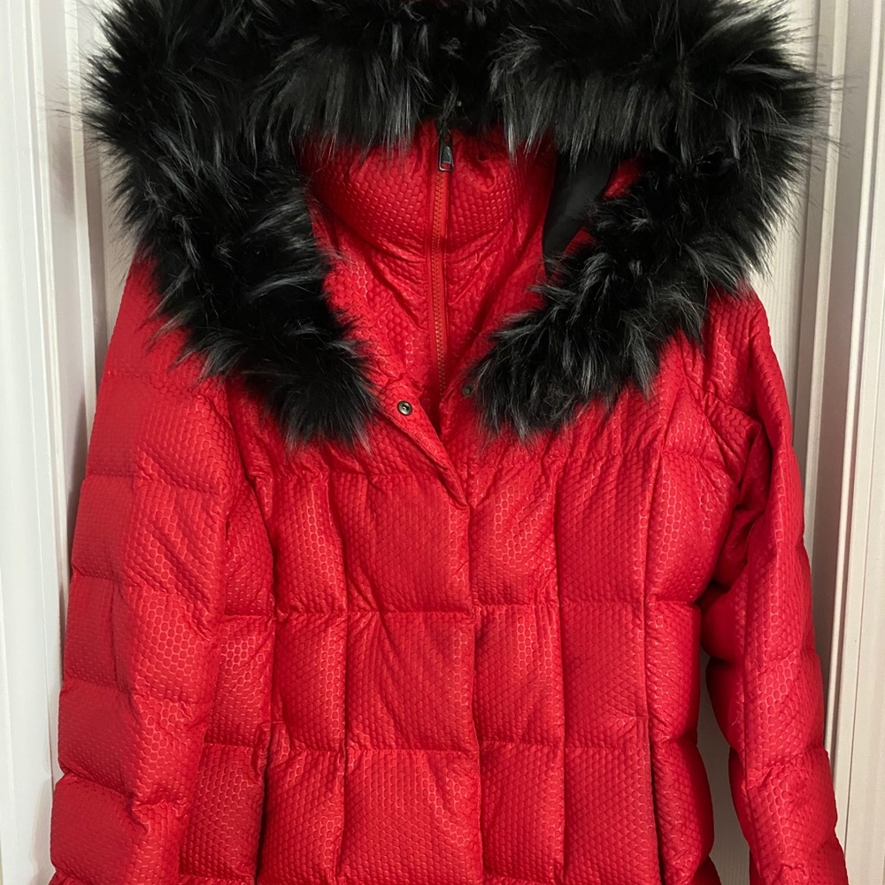 Women’s Large NorthFace Long Winter jacket